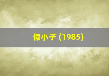 假小子 (1985)